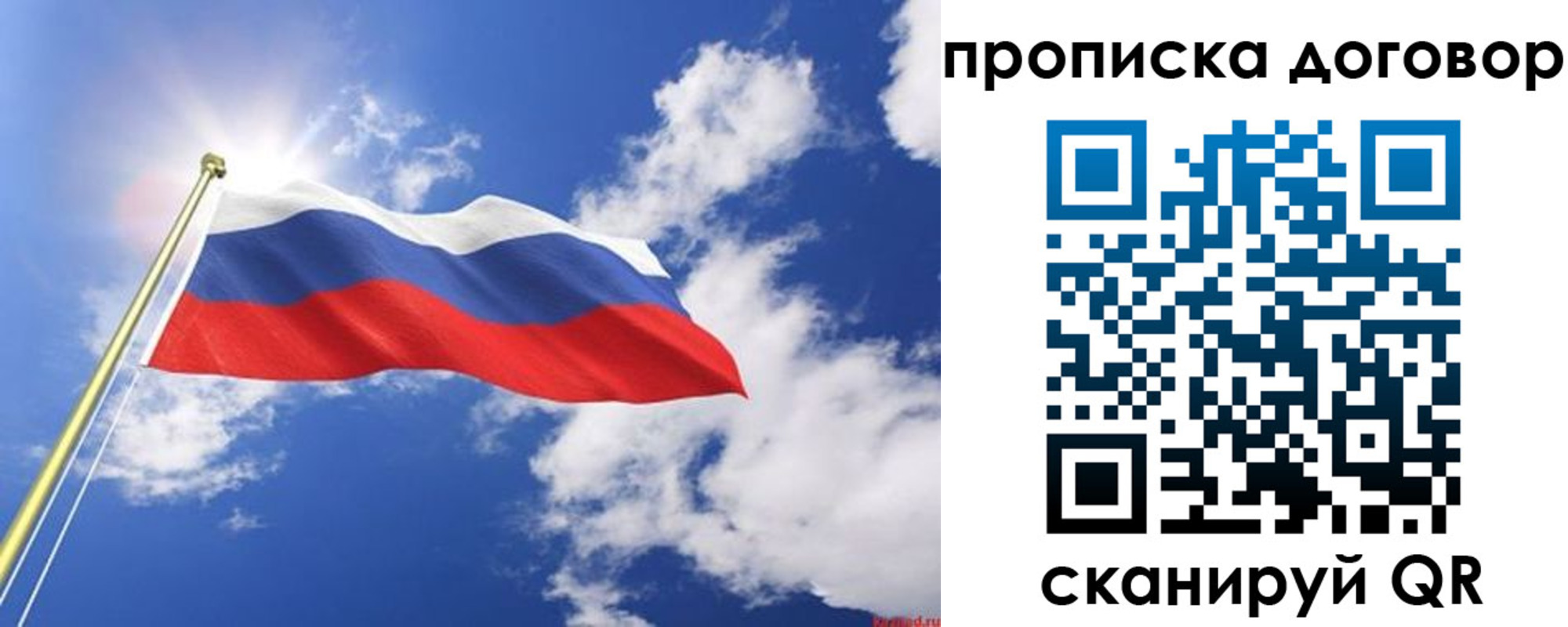 прописка гарантия в Бородино